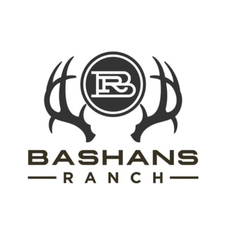 Bashans